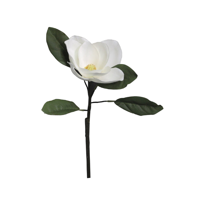 MAGNOLIA