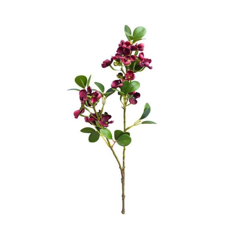 FLOR FLOR EUFORIA
