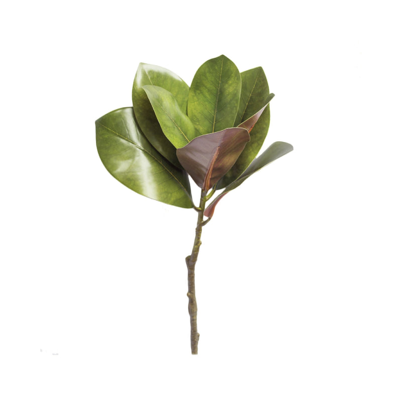 FLOR HOJAS REALES