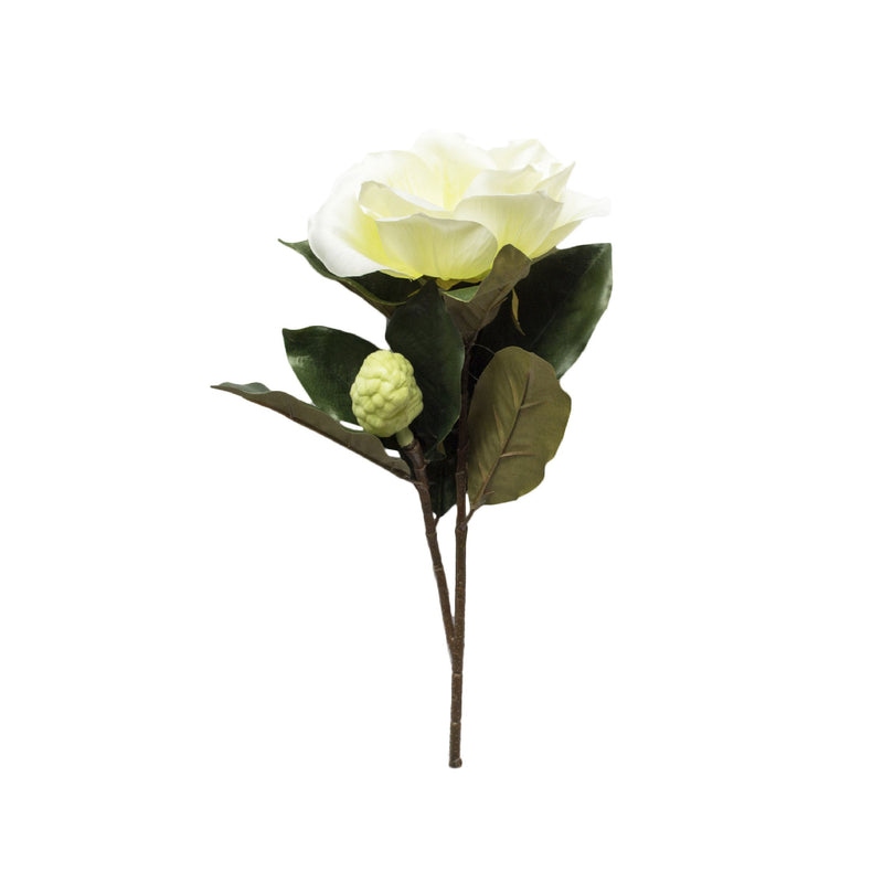 FLOR MAGNOLIA
